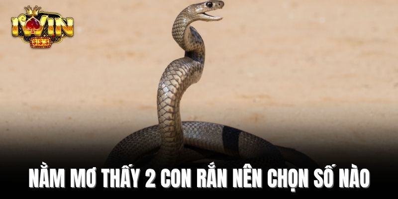Nằm mơ thấy 2 con rắn nên chọn số nào