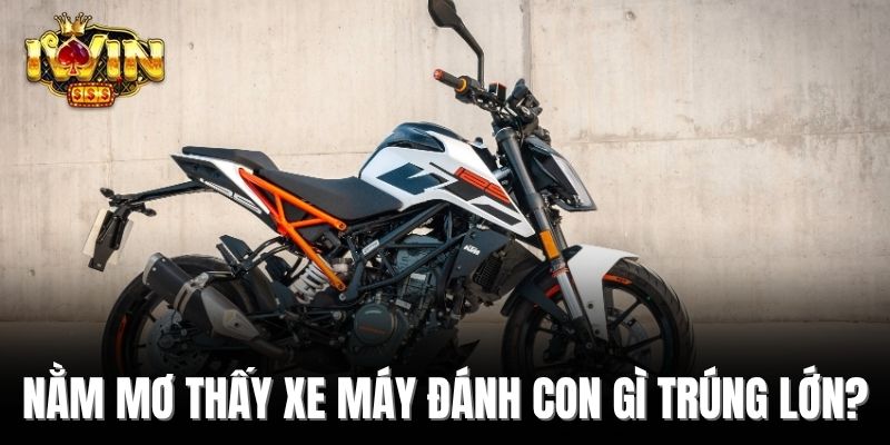 Nằm mơ thấy xe máy đánh con gì trúng lớn?