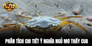 Phân tích chi tiết ý nghĩa ngủ mơ thấy cua  