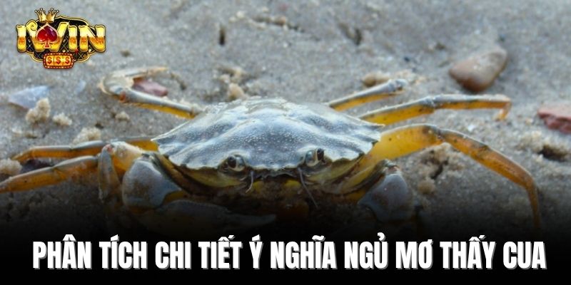 Phân tích chi tiết ý nghĩa ngủ mơ thấy cua  